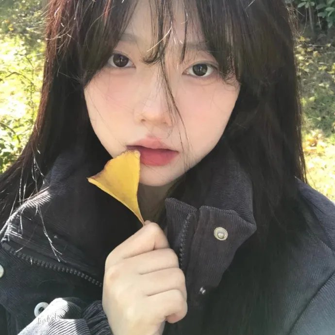 高分榜单